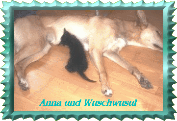 Bussi an Annett für das süsse Bild!