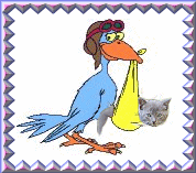 Achtung Monsterbaby im Anflug!